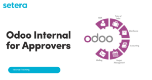 Odoo Internal for Approvers